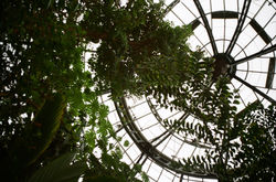 LA - Huntington Gardens - 2025