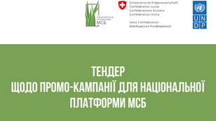 Тендер щодо промо-кампанії для Національної платформи МСБ