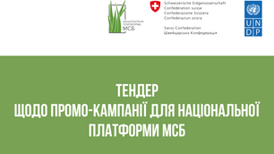 Тендер щодо промо-кампанії для Національної платформи МСБ