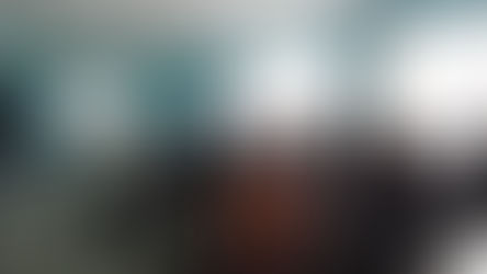 Розвиваємо бджільництво на Сумщині