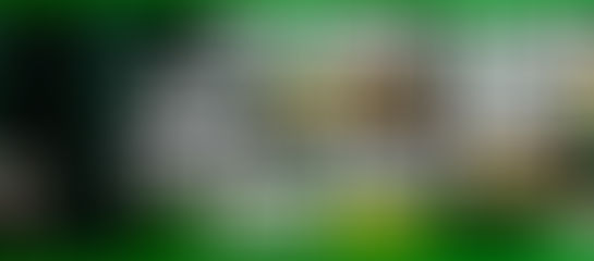 이태리 가입하는 방법과 가입코드 활용법