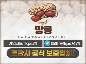 메이저 토토사이트 땅콩