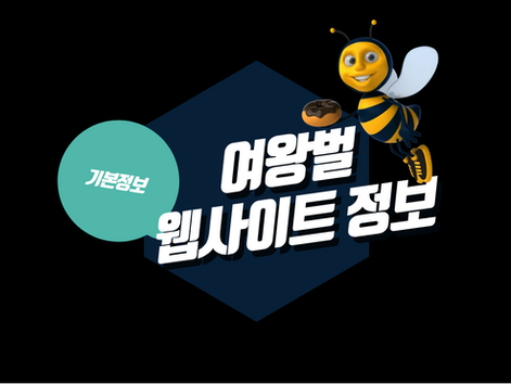 여왕벌접속 웹사이트 기본 정보와 사이트 구성, 주소·도메인 및 고객지원 내용을 안내하는 이미지