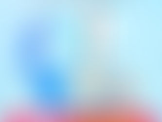 돛단배토토 최신주소