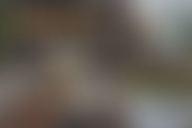 Curating a Collection of French Antiques from the South of France