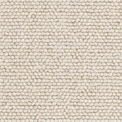 Seychelles Sandpiper