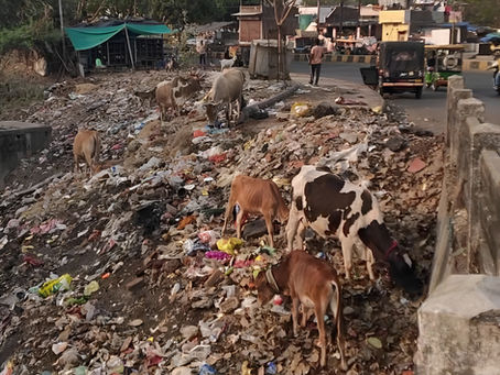 インドが世界最大のプラスチック汚染国に、新たな研究で明らかに