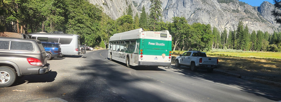 SHUTTLE BUS COMING THROUGH! (Church Bowl Picnic Area to the Left)
