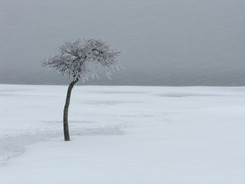 Alone_against_The__Blizzard.jpeg
