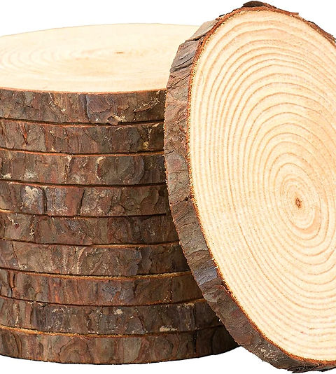 Set Of (10) 13-14 Inch Wood Slices For Centerpieces! Wood Slice Centerpieces, Wood Rounds, Tree Slices, Wood Plate Chargers (13-14 Inch