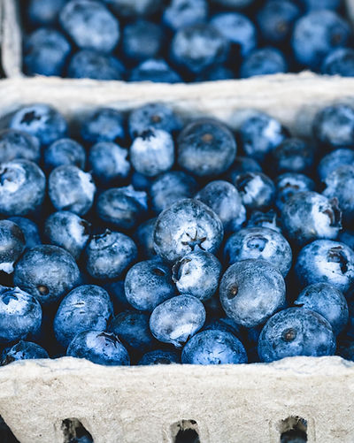 Fresh Blueberries