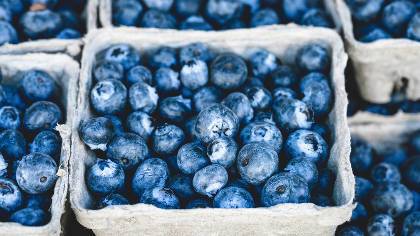 Blueberries: Summer Fruit Spotlight