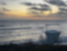 IMG_2951.jpeg