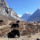 Thumbnail: Le tour du Manaslu
