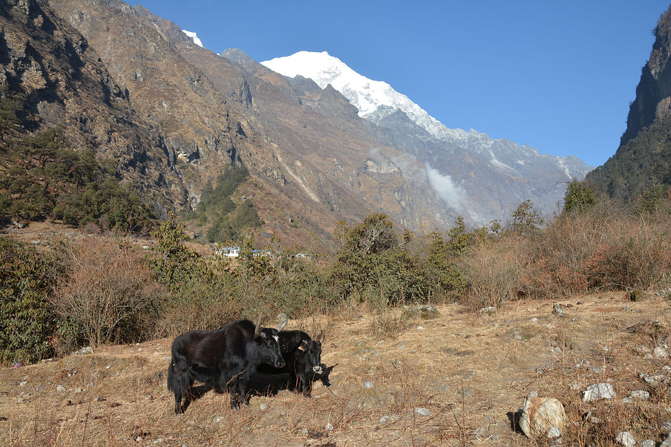 Thumbnail: Langtang et lacs de Gosaikunda