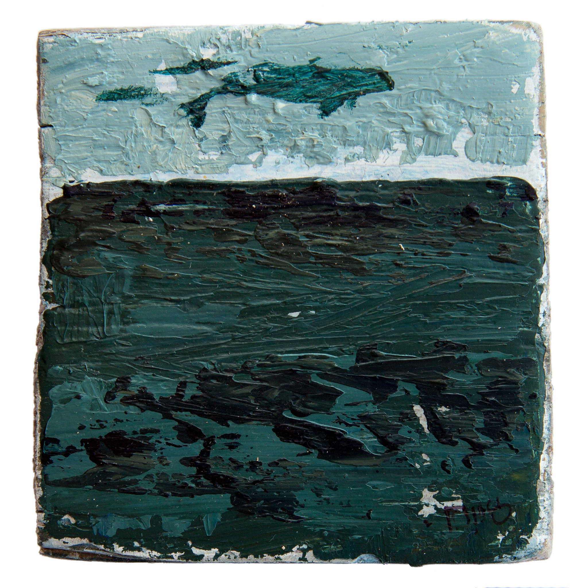 Flood Tide Transit