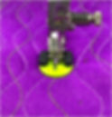 ree