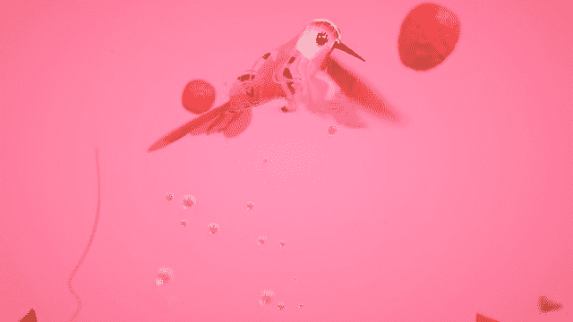 CGI Hummingbird in a garden of painted flora, Pink, strawberries