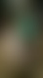 Történelmi Országos Bajnokság