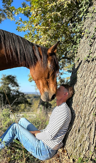 François Zimmer cheval