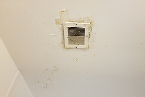 Resized_20210708_103138.jpg