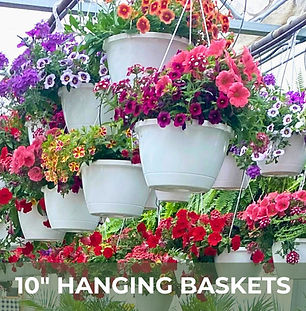 Hanging Baskets.jpg