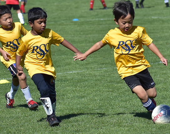 RSC_6617.JPG