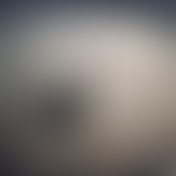 Nhìn lại năm 2021