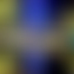 Windmill Tree at the Australian Workers Heritage Centre