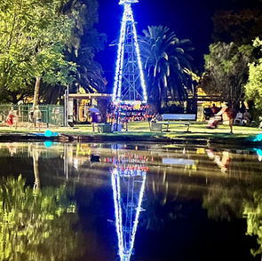 Windmill Tree at the Australian Workers Heritage Centre