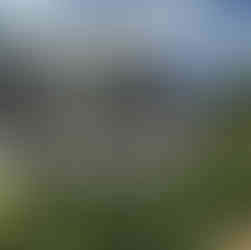 Young Un Precinct Outdoor Exhibition Arbor