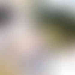 AWHC Entrance with Queensland Mounted Police