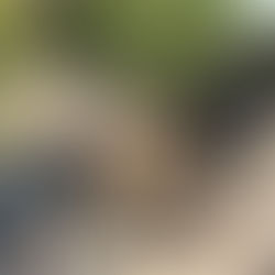 Aerial overview of the Young Un Precinct under construction.