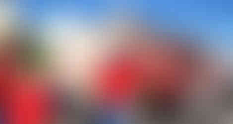 Labour Day Parade 2016