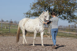 CC Parfit Coincident