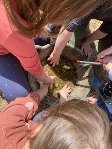 Tiergestützte Kurse & Workshops zur Förderung von Kindern, Feinmototik, Konzentration, Schulreife, Entspanung, Schule