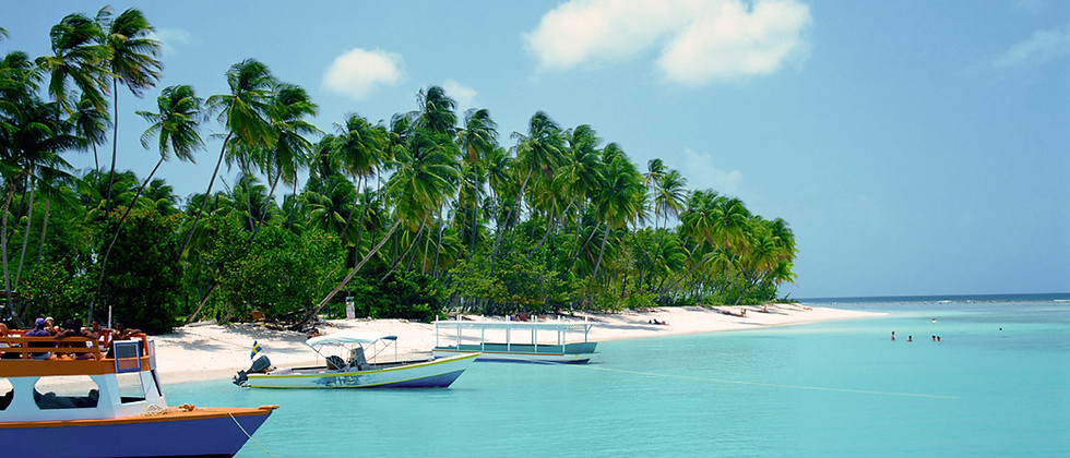 Tropical Beach