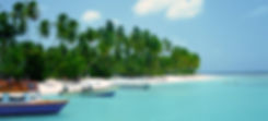 Tropical Beach