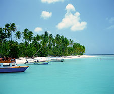 Tropical Beach