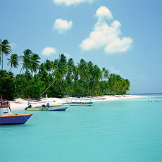 Praia tropical