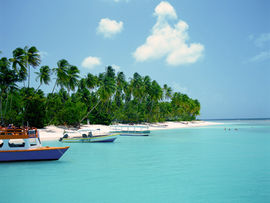 Tropical Beach