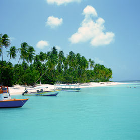 Antigua Opportunities