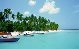 Tropical Beach