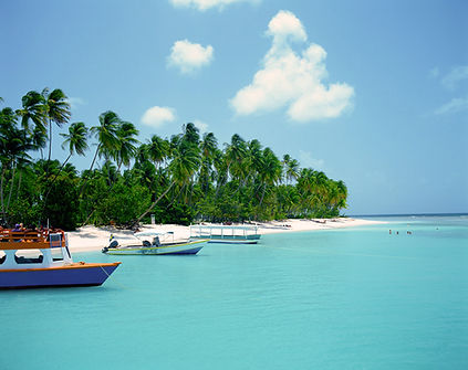 Tropical Beach