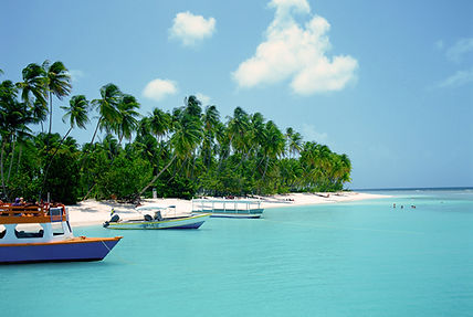Tropical Beach