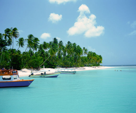 Tropical Beach
