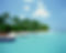 Tropical Beach