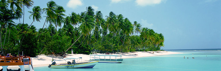 Tropical Beach
