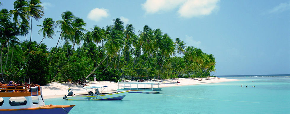 Tropical Beach