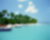 Tropical Beach
